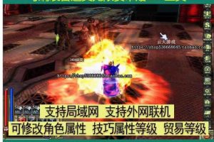 隐盟独家最新整理【新美丽世界宠物外漂端】VM一键单机版放出，支持宠物外飘大翅膀可刷装备角色属性无限制无绑定版+隐盟视频教程